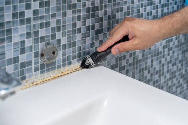 Best Emergency Mold Removal  in Big Stone Gap, VA