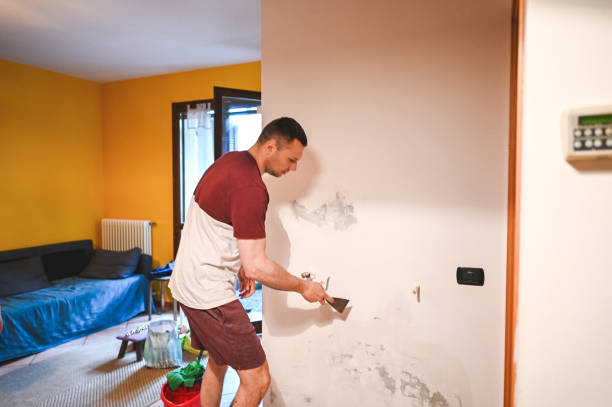 Best Commercial Mold Removal  in Big Stone Gap, VA